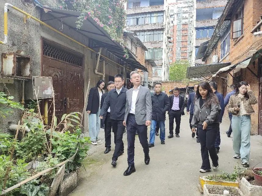 德阳市委常委、组织部部长周鸿调研督导红雨村七组城市更新项目推进工作